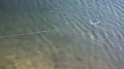 Isca de Superfície Artificial Mouse Swimbait 15,5 cm – Floating Rat